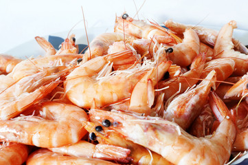 prawns