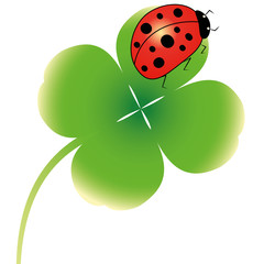 kleeblatt,marienkäfer,glücksbringer,glückssymbol,patrick,3d,icon