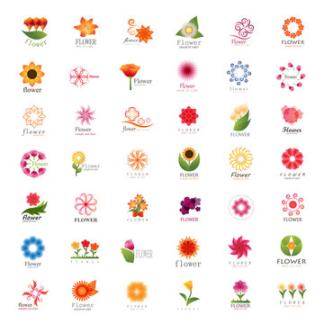 Flower Icons Set - Isolated On White Background