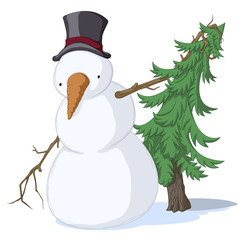 Snowman Spruce, Colored