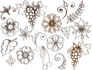 Set of design elements, flora