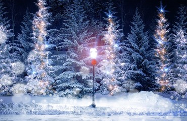 Mysterious Christmas Alley © Tomasz Zajda