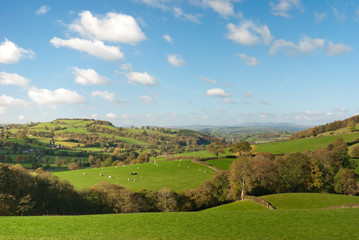 Obraz premium Large pastureland in Wales