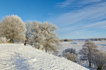 Winter landscape