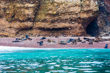 Peru,South America, coast at Paracas National Reservation