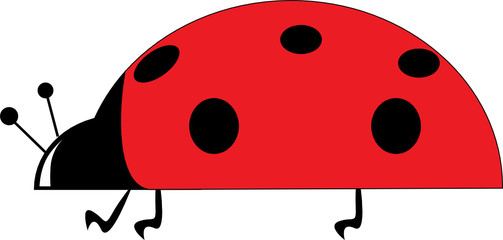 Ladybird