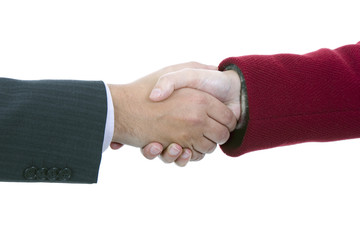 Handshake of business partners, men and women