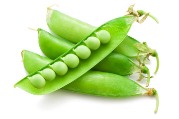 Pea