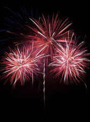 Colorful red fireworks i