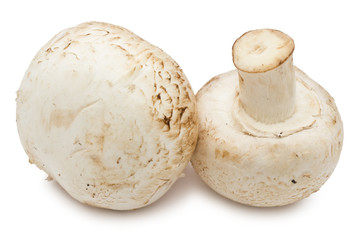 Champignon mushrooms