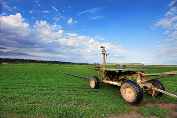 Fototapeta premium Turf farming, Australia