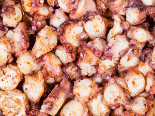 Pulpo a feira background
