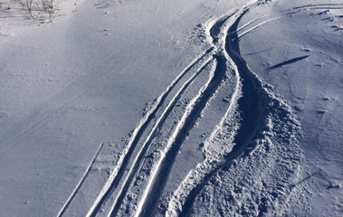 Ski tracks in the powder snow