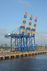 Портовые краны в контейнерном терминале