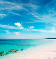 Obraz premium Stintino sandy shore