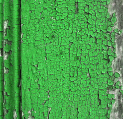Obraz premium texture