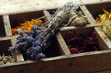 Fototapeta premium 59764162