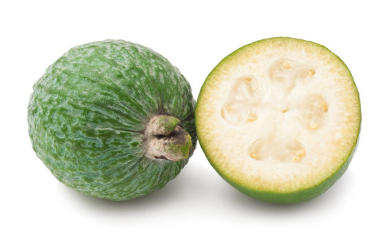 Feijoa Fruit