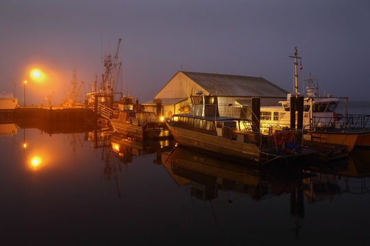 Steveston Night Dock Fog
