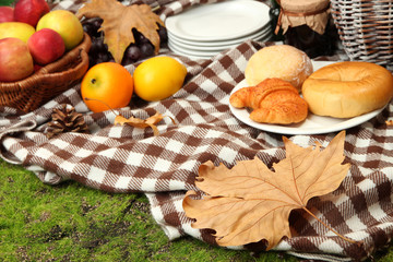 Fototapeta premium Outdoors picnic close up