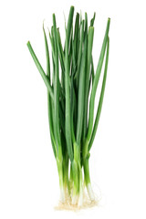 Spring Onions