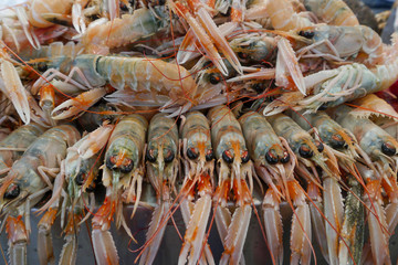 Giant prawns