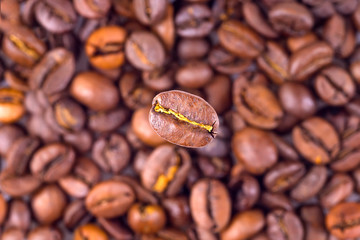 Coffee bean