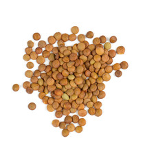 brown lentils isolated on white