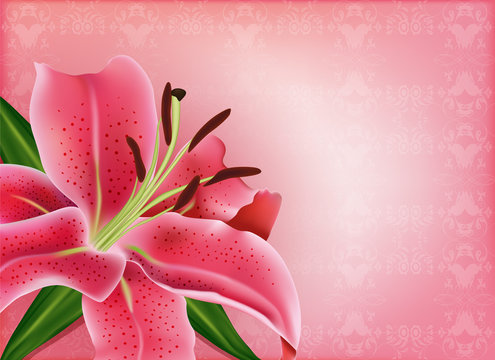 Beautiful gift card with pink lily