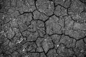 Closeup of dry soil texture