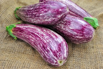 Melanzane striate