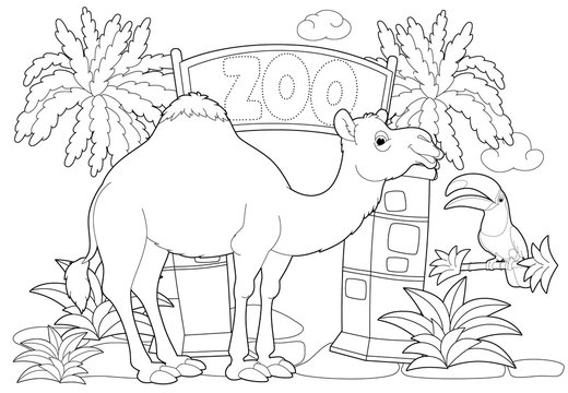 Coloring Page - The Zoo - Illustration For The Children