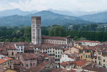 Fototapeta premium Lucca