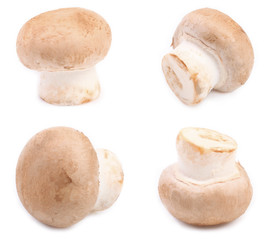 Fresh white mushroom.