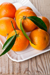 tangerines with leaves in plate