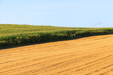 Hay field in summer day.