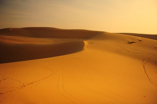 Sand Dune in Desert Landscape