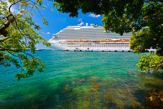 Tree and cruise ship with sun shinning in background.