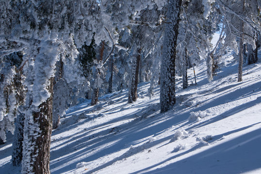 Snow in navacerrada madrid spain