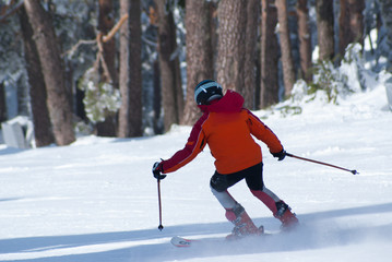 Skiing, winter, woman,men, skiing downhill