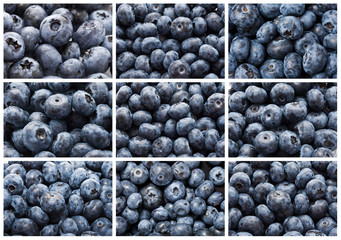 Blueberries