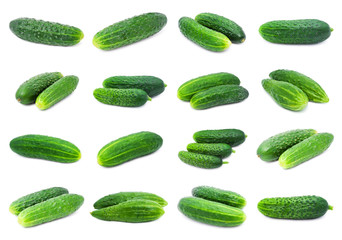 Cucumbers
