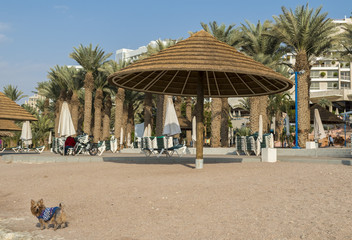 Central beach of Eilat - famous resort Israeli city