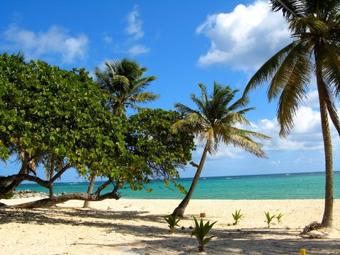 Plage de la Feuill&egrave;re, Capesterre de Marie-Galante