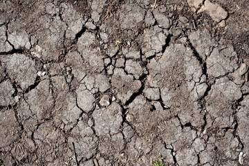 Dry land