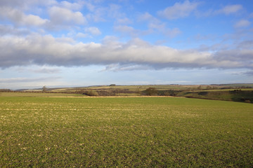 agricultural scenery