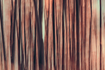 Artistic Abstract forest composition