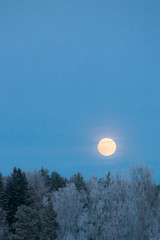 Obraz premium Full moon over frost covered forest