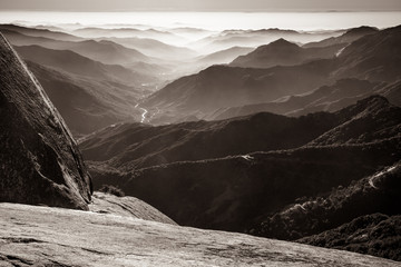 Sequoia National Park - Powered by Adobe