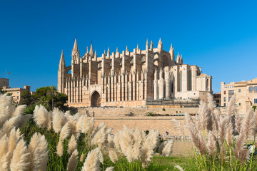 Kathedrale "La Seu" in Palma de Mallorca - 7952